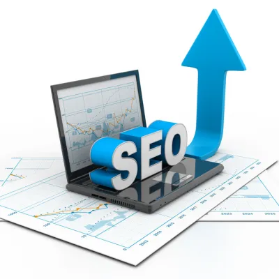 Search Engine Optimization Services in Aundh
